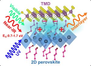 Monash 2d perovskite TDM heterostructure