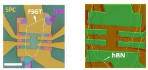 RMIT vanDerWaals optical and AFM images