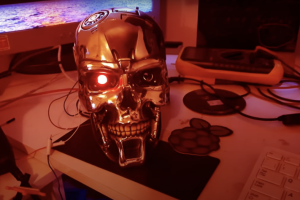 Terminator-300x200.png