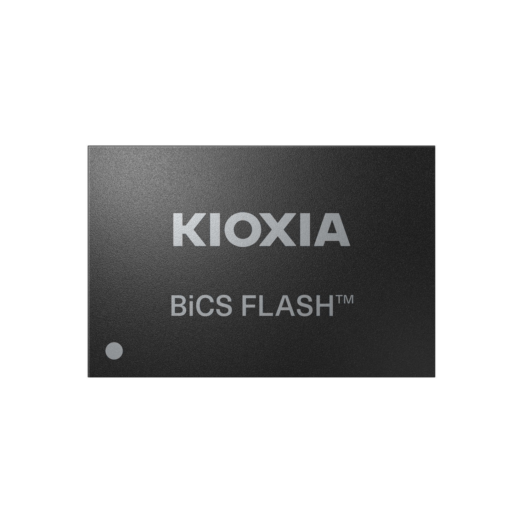 Kioxia in mass production of dense industrial flash in Q4