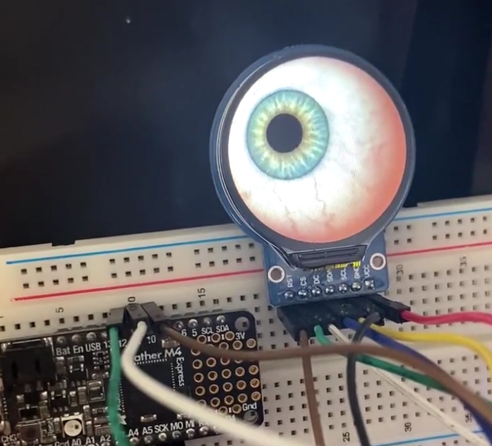 The unblinking stare of an adafruit eye