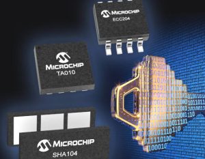Miceochip secure element ICs
