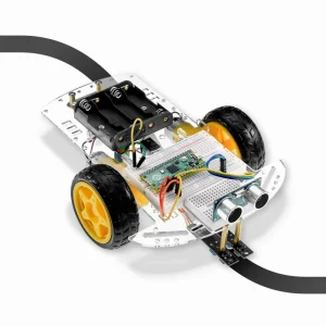 Raspberry Pi Pico Advanced Kit - motor skills