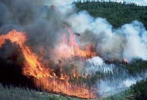 Viewpoint: Ultra-early wildfire detection with IoT-enabled sensors using the LoRaWAN standard