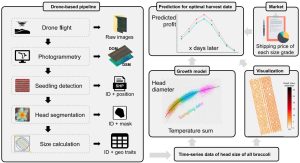 UofTokyo Brussels Sprout value prediction