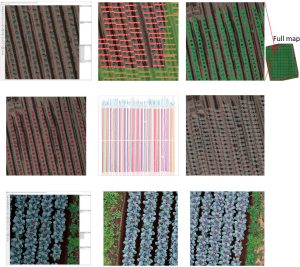 UofTokyo Brussels Sprout growth farmer visualisation