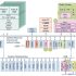 Infineon TC4xTriCore based vehicle processor