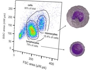 Imec-Blood-cells diag graph