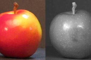 Bruised apple imaged with Senseeker focal plane array