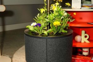 LG-at-CES-light-speaker-550-300x200.jpg