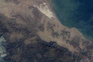 Sen-4K-livestream-300x200.jpg