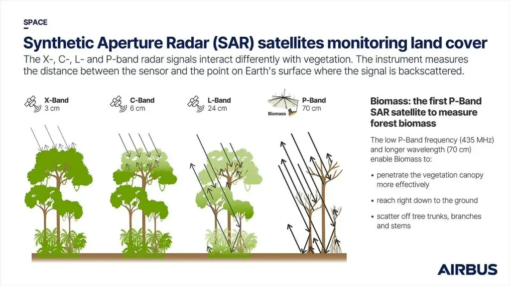Biomass SAR satelllite data monitoring land cover