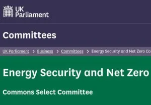 UK parliament net zero select committee