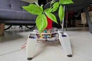 LegsDay-Project-Plant-edition-300x200.webp