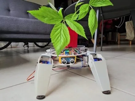 LegsDay-Project-Plant-edition-440x330.webp