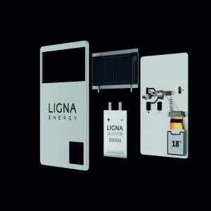 power-Ligna-图 4-300x300.webp