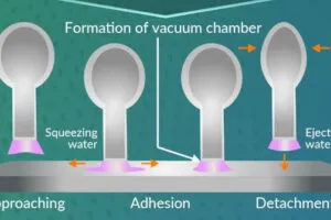 Seoul NatUof SandT starfish robot feet operation 616