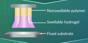 Seoul NatUof SandT starfish robot feet construction web