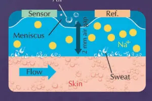 Waseda University Rose inspired sweat monitor cross section