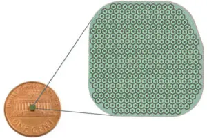 science.xyz Prima visual prothetic scale