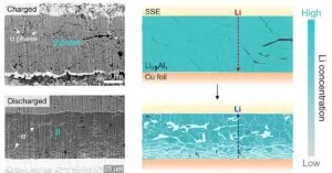 कैलिफ़ोर्निया के यू सैन डिएगो लीअल नकारात्मक इलेक्ट्रोड क्रेडिट युजू जियोन