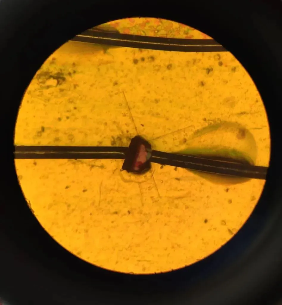 New material efficiently converts motion into electricity