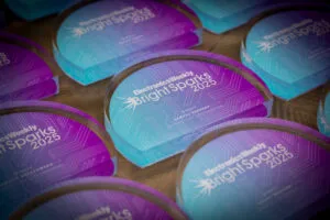 Elektra Awards 2025 - EW BrightSparks trophies