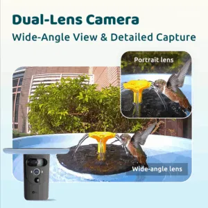 Birdfy Tub Professional - How good is my hen bathtub? 2