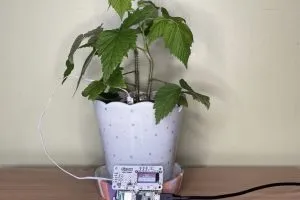A plant pot that sends text messages? A Raspberry Pi Pico W? Even better.