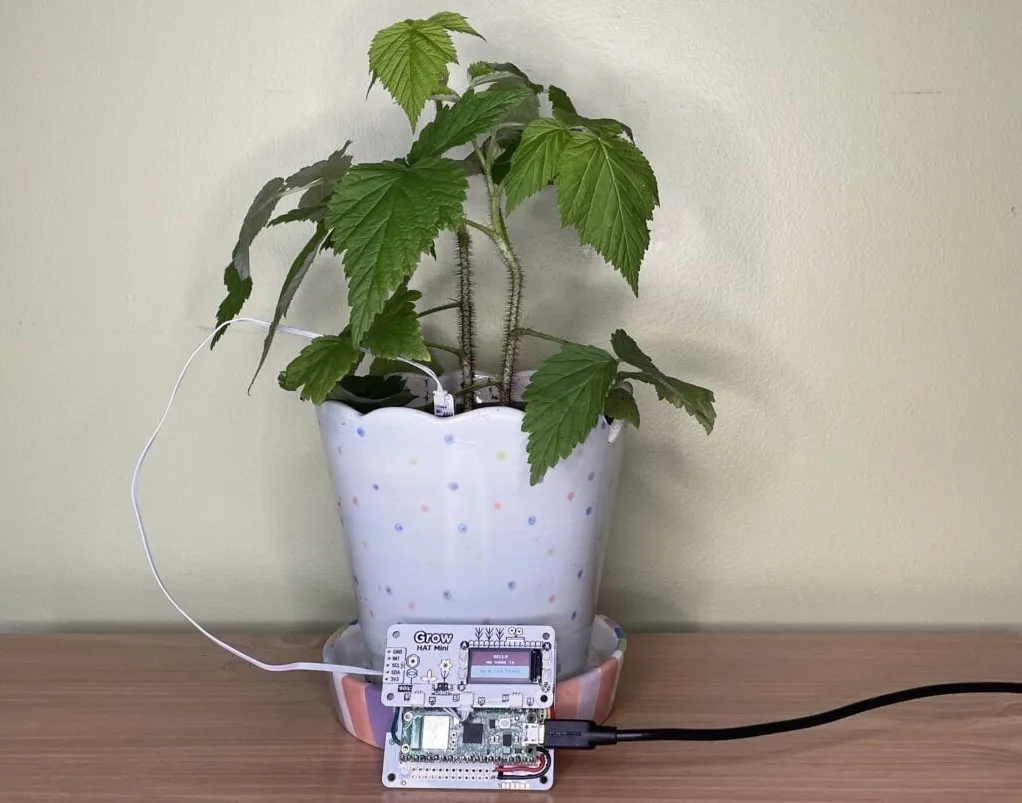 A plant pot that sends text messages? A Raspberry Pi Pico W? Even better.