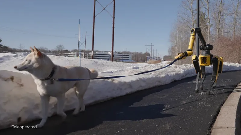 Robotic-spot-dog-goes-dog-walking.webp