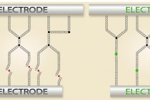 nantero-sidebyside-11-300x200.jpg