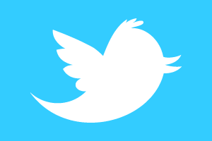 twitter_newbird_boxed_whiteonblue-300x200.png